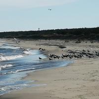 Szum morza i drobniutki piasek pod stopami pomoże przygotować się do kolejnego roku szkolnego ;) - fot. 19
