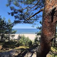 ŚCIEŻKA ROWEROWA MIERZEJA WIŚLANA NIE PRZESTAJE ZACHWYCAĆ - fot. 14