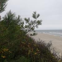 Zamiast w szał zakupów wpadnij do Krynicy - fot. 2