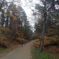 Zamiast w szał zakupów wpadnij do Krynicy - fot. 7