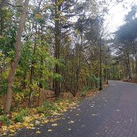 Zamiast w szał zakupów wpadnij do Krynicy - fot. 10