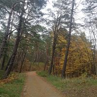 Zamiast w szał zakupów wpadnij do Krynicy - fot. 11