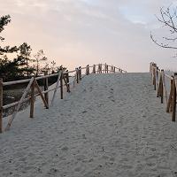 CISZA, PUSTA PLAŻA I PRZEPIĘKNA NATURA. ZOBACZ JAK PIĘKNIE W MARCU NA PLAŻY. - fot. 2