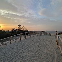 CISZA, PUSTA PLAŻA I PRZEPIĘKNA NATURA. ZOBACZ JAK PIĘKNIE W MARCU NA PLAŻY. - fot. 3