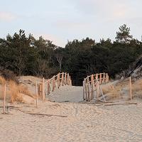 CISZA, PUSTA PLAŻA I PRZEPIĘKNA NATURA. ZOBACZ JAK PIĘKNIE W MARCU NA PLAŻY. - fot. 5