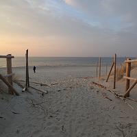 CISZA, PUSTA PLAŻA I PRZEPIĘKNA NATURA. ZOBACZ JAK PIĘKNIE W MARCU NA PLAŻY. - fot. 6