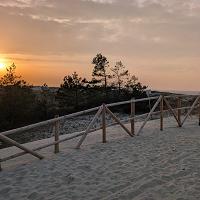 CISZA, PUSTA PLAŻA I PRZEPIĘKNA NATURA. ZOBACZ JAK PIĘKNIE W MARCU NA PLAŻY. - fot. 9