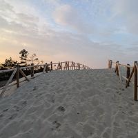 CISZA, PUSTA PLAŻA I PRZEPIĘKNA NATURA. ZOBACZ JAK PIĘKNIE W MARCU NA PLAŻY. - fot. 8