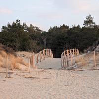 CISZA, PUSTA PLAŻA I PRZEPIĘKNA NATURA. ZOBACZ JAK PIĘKNIE W MARCU NA PLAŻY. - fot. 10